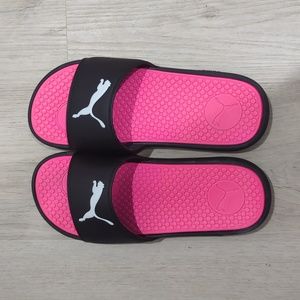 Puma slides